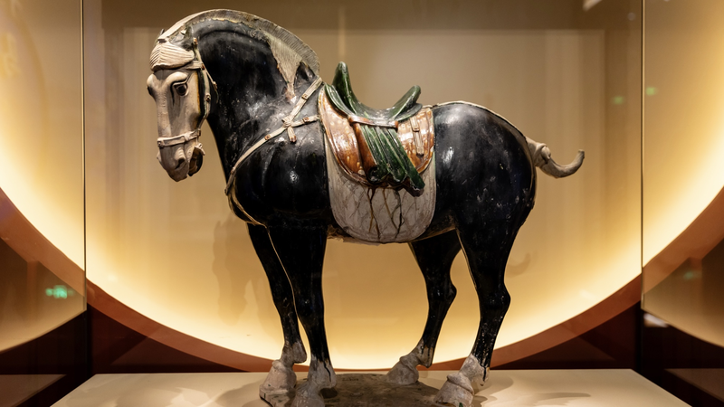 Galloping_Forward__Beijing_Exhibit_Celebrates_Lunar_New_Year_with_Horse_History video poster