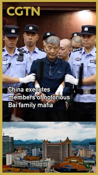 China Executes Myanmar Crime Family Members in Cross-Border Crackdown 🔥⚖️ video poster