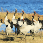 I1CYYNWEP0FPCUF71S7S - 🌍NewspaperAmigo – Your Global News Buddy 🗞️ China Boosts Eco-Protection with New Nature Reserve Rules 🌱