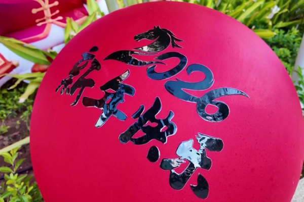 A Hearty Spring Festival Feast in China’s Southernmost City 🌏🍲 video poster