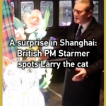 🇬🇧🇨🇳 British PM Starmer Meets Larry the Cat... in Shanghai! 🐱✨ video poster
