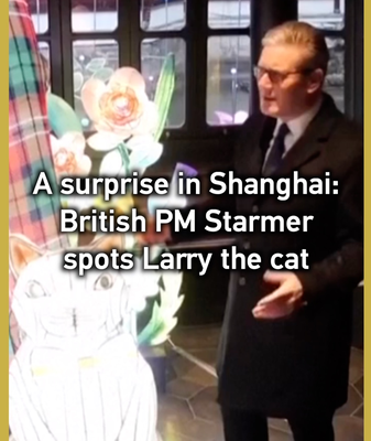 🇬🇧🇨🇳 British PM Starmer Meets Larry the Cat... in Shanghai! 🐱✨ video poster