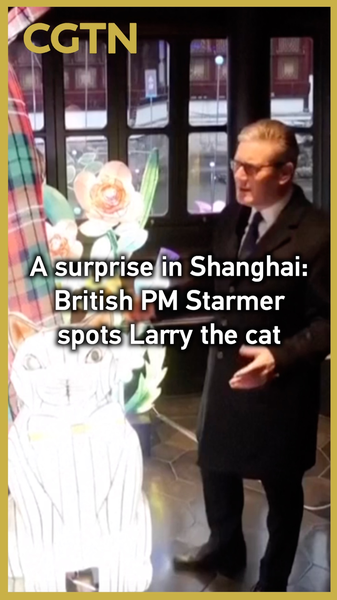 LH2FVCS2Q0BMMNZ3JM8U - 🌍NewspaperAmigo – Your Global News Buddy 🗞️ 🇬🇧🇨🇳 British PM Starmer Meets Larry the Cat... in Shanghai! 🐱✨ video poster