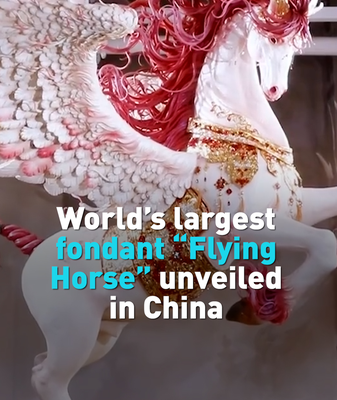 China’s 4-Meter Fondant ‘Flying Horse’ Gallops Into Record Books 🎂🐎 video poster