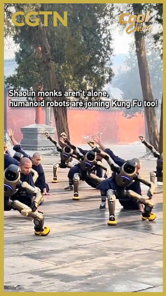 Shaolin Monks Train with Humanoid Robots in Futuristic Kung Fu Class 🥋🤖 video poster