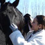 Galloping into 2026: Why This Year of the Horse Signals Bold Moves 🐎 video poster