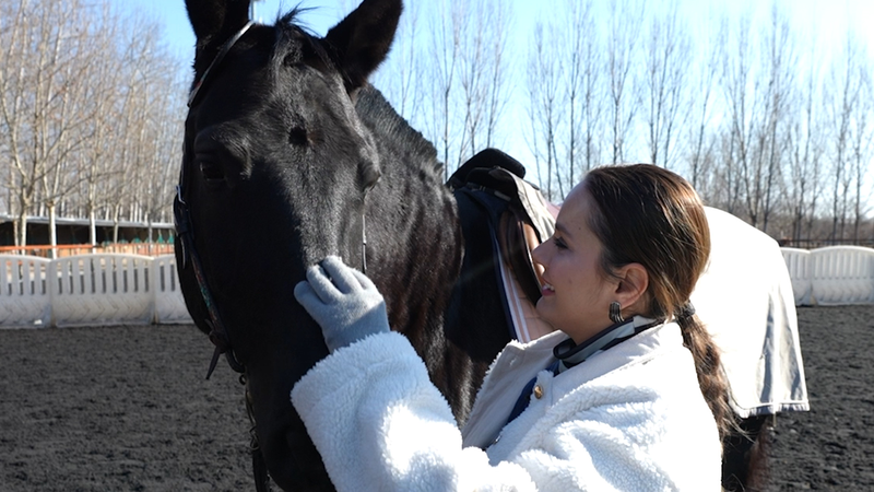 Galloping into 2026: Why This Year of the Horse Signals Bold Moves 🐎 video poster