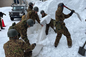 Deadly Snowstorms Claim 30 Lives in Japan 🌨️🇯🇵