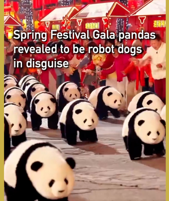 Robo-Pandas Steal Show at 2026 Spring Festival Gala 🐼🤖 video poster