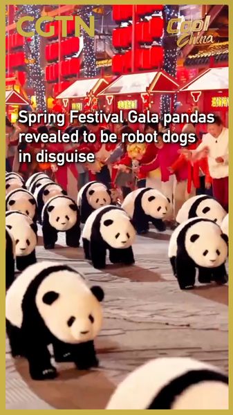 Robo-Pandas Steal Show at 2026 Spring Festival Gala 🐼🤖 video poster