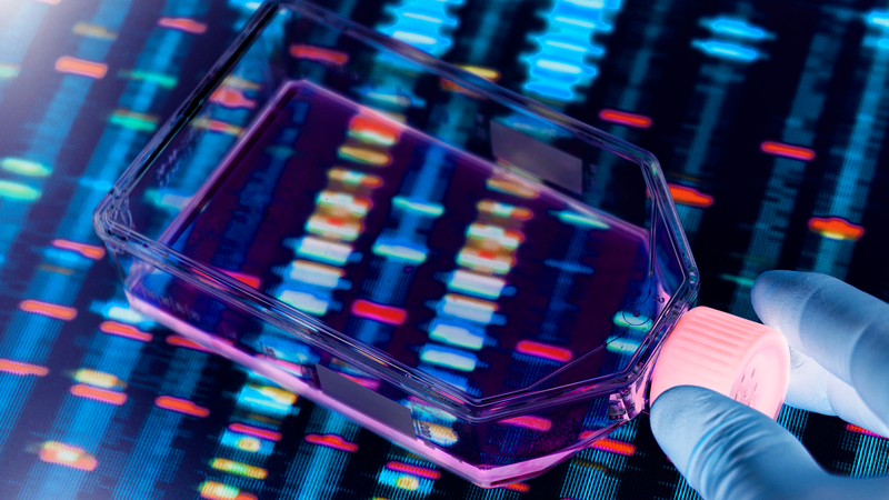 NO3E5DCV1KR1L6BZTCDI - 🌍NewspaperAmigo – Your Global News Buddy 🗞️ Breakthrough Gene-Editing Tech Reverses Autism-Like Symptoms in Mice 🧬🐭