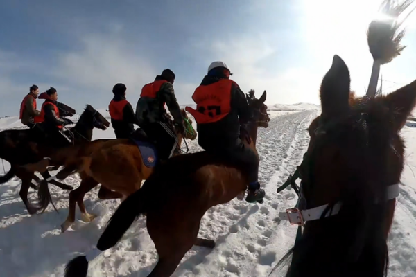 Snowy Horse Racing Thrills Xinjiang for Lunar New Year 🐎❄️ video poster