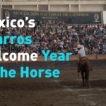 O69TAC604ZKXXGJXHSZZ - 🌍NewspaperAmigo – Your Global News Buddy 🗞️ Galloping Cultures: Mexico’s Charros Embrace Year of the Horse 🐎 video poster