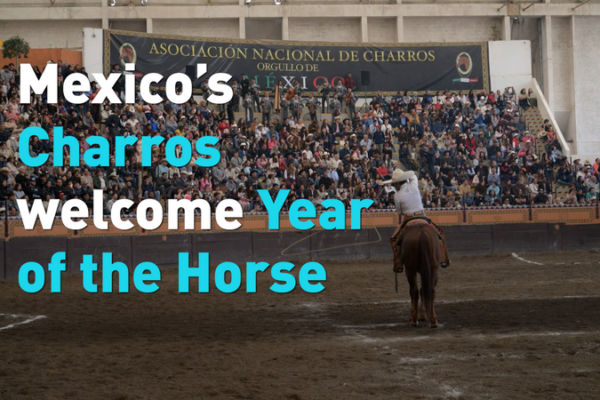 Galloping Cultures: Mexico’s Charros Embrace Year of the Horse 🐎 video poster