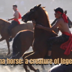 OE8XX8PXERMR6KJK9O8G - 🌍NewspaperAmigo – Your Global News Buddy 🗞️ Legends on Hooves: The Timeless Allure of Ferghana Horses 🌟🐎 video poster
