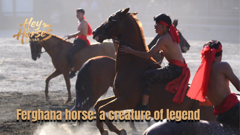Legends on Hooves: The Timeless Allure of Ferghana Horses 🌟🐎 video poster