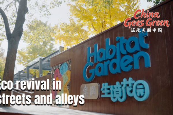 China's Urban Green Revolution Blossoms in 2026 🌱🏙️ video poster