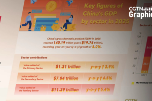 China's 2025 GDP Hits $19.74 Trillion: Services Lead Growth 🌏💹