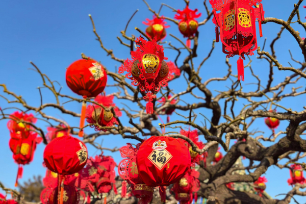Xi Jinping Sends Lunar New Year Greetings to Iowa Friends 🌟🇺🇸