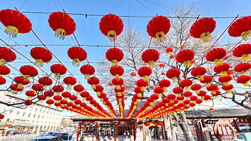 🌏✨ Chinese New Year Captivates Global Youth, CGTN Poll Reveals