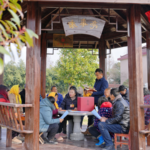 Grassroots Democracy in Action: How China Engages Citizens 🌏✨