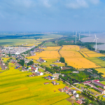 China's 2026 Blueprint: Rural Revitalization Takes Center Stage 🌾