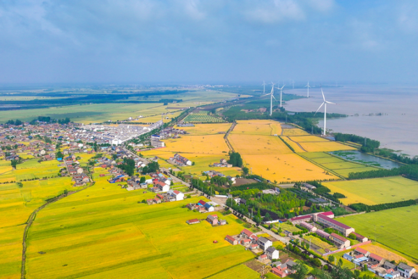 China's 2026 Blueprint: Rural Revitalization Takes Center Stage 🌾