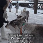 RJJ16BR7KWJMO00DIUK1 - 🌍NewspaperAmigo – Your Global News Buddy 🗞️ Reindeer & Culture: Ewenki Traditions Thrive in 2026 🌲🦌 video poster