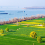 China's Green Revolution: Yangtze Revival & Hydrogen Horizons 🌱💧