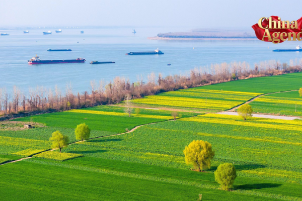China's Green Revolution: Yangtze Revival & Hydrogen Horizons 🌱💧