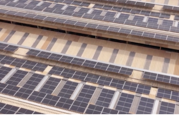 Egypt Aims for 42% Renewable Energy by 2030 🌞🇪🇬 video poster