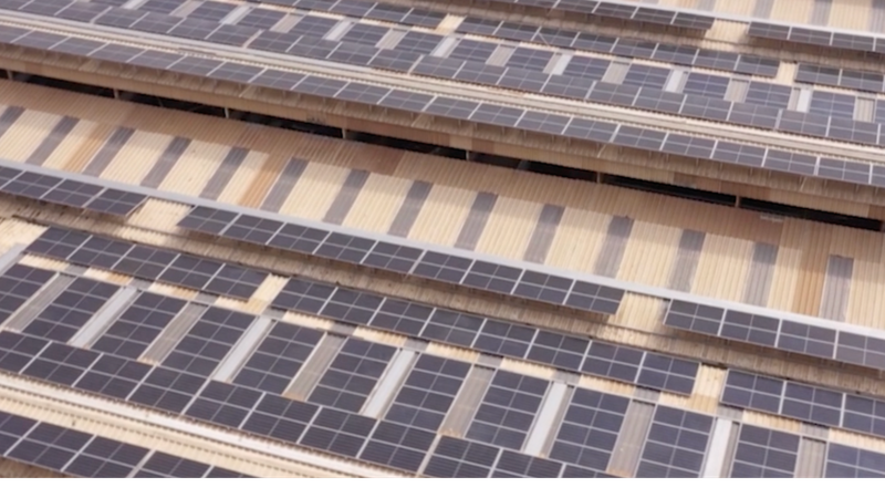 RX0R55JALNRNSRZNOG88 - 🌍NewspaperAmigo – Your Global News Buddy 🗞️ Egypt Aims for 42% Renewable Energy by 2030 🌞🇪🇬 video poster