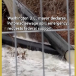 D.C. Declares Emergency Over Potomac Sewage Crisis 🌊🚨 video poster