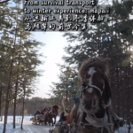 From Survival to Snow Adventures: Mohe’s Mapali Sleighs Ride into 2026 🌨️🛷 video poster