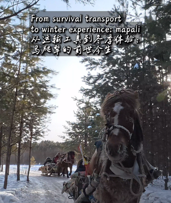 From Survival to Snow Adventures: Mohe’s Mapali Sleighs Ride into 2026 🌨️🛷 video poster