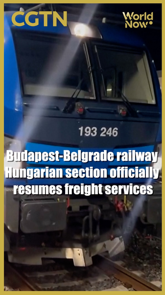 🚂 Budapest-Belgrade Railway Freight Services Back on Track! video poster