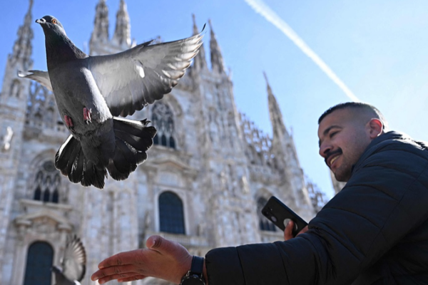 🏰❄️ Milan’s Duomo Square Blends History with 2026 Winter Olympics Fever video poster
