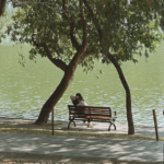 Shenzhen’s Green Revolution: Where Tech Meets Nature 🌳🏙️