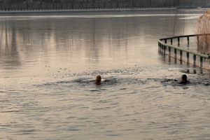 Beijing Retirees Defy Winter Chill with Lakeside Fitness Routines 🧓❄️