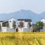 China’s 2026 Rural Blueprint: Tech, Livestreams & ‘New Farmers’ 🌾📱 video poster