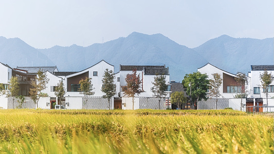 China’s 2026 Rural Blueprint: Tech, Livestreams & ‘New Farmers’ 🌾📱 video poster