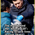 Hero Vet Saves 16,000 Animals in Rural China 🚑🐄 video poster