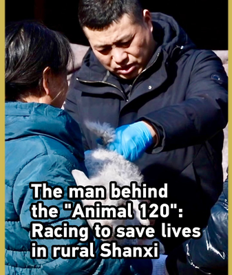 Hero Vet Saves 16,000 Animals in Rural China 🚑🐄 video poster