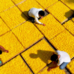 China's Poverty Victory: 5 Years Later 🌏📈