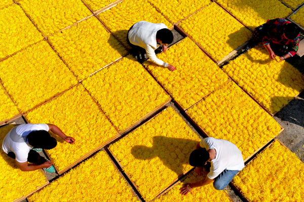 China's Poverty Victory: 5 Years Later 🌏📈