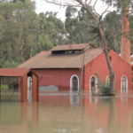 Europe Battles Extreme Weather: Storms and Arctic Freeze Cause Chaos 🌪️❄️
