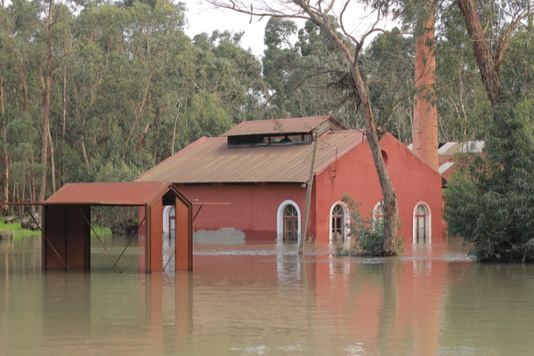 Europe Battles Extreme Weather: Storms and Arctic Freeze Cause Chaos 🌪️❄️