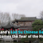 Portland’s Lan Su Garden Gallops into Year of the Horse 🐎✨ video poster