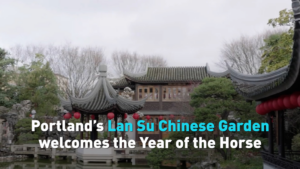 Portland’s Lan Su Garden Gallops into Year of the Horse 🐎✨ video poster