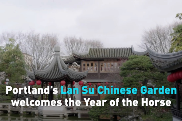 Portland’s Lan Su Garden Gallops into Year of the Horse 🐎✨ video poster